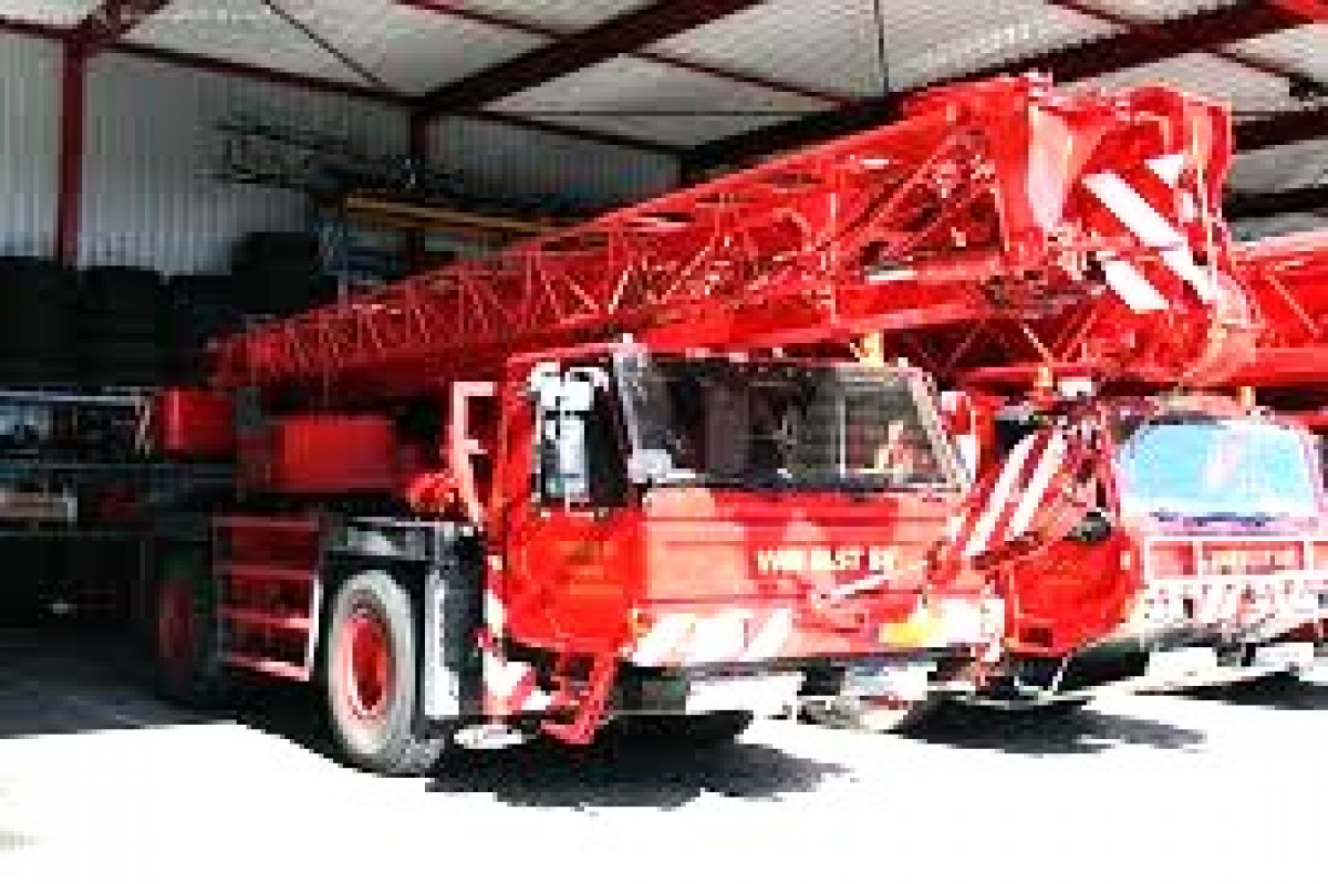 Kranbild Demag AC 30 - Autokran-Portal - Autokran-Portal.com